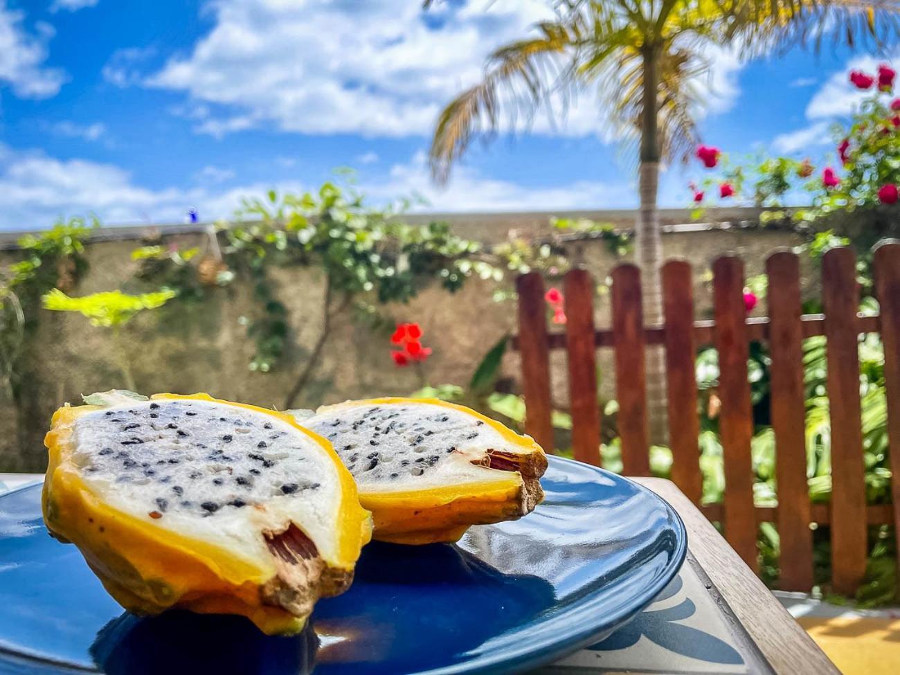 Indigo Star House Villa Ribeira Brava Exterior photo